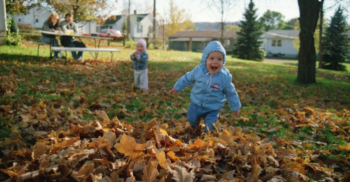Adorable children playing in a pile of autumn leaves in a serene park setting, Wabasha, MN.